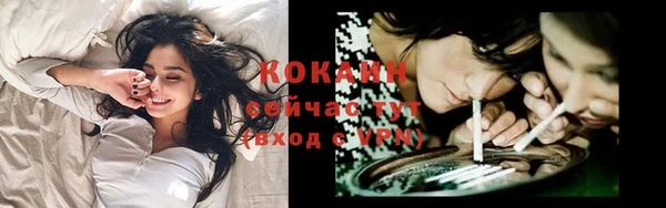 apvp Богданович