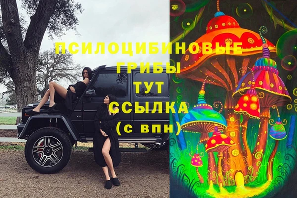 сатива Богородицк