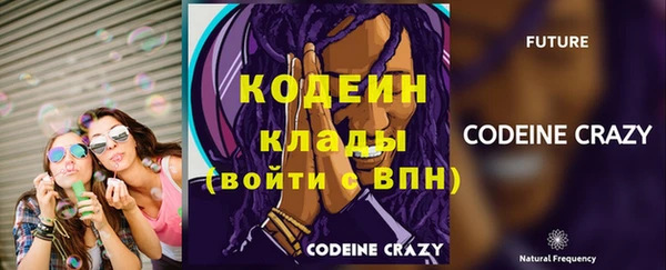 apvp Богданович