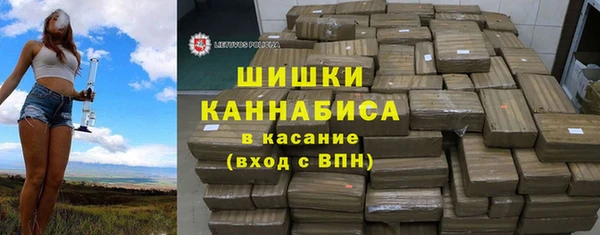 сатива Богородицк