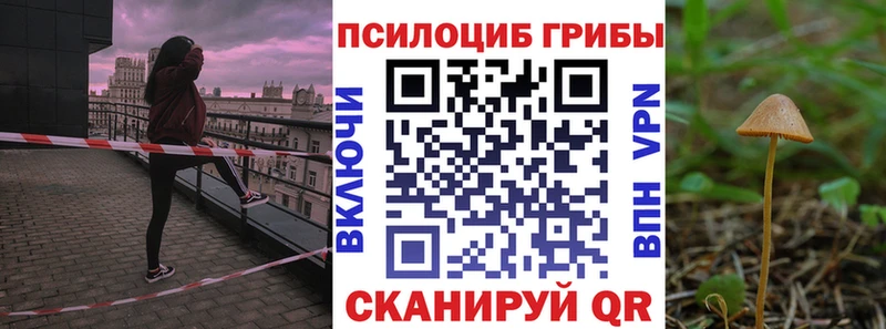 Псилоцибиновые грибы Psilocybe  купить   Невельск 